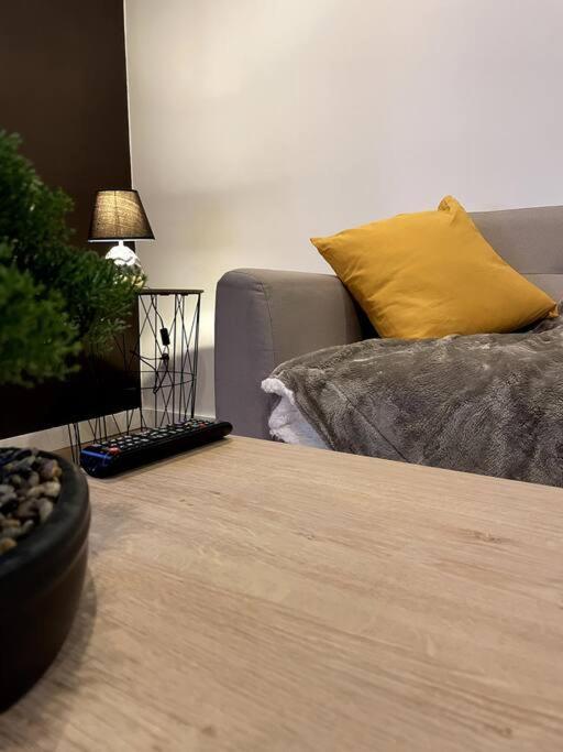 Villa Gaby ~ Jardinet ~ Hyper-Centre โป ภายนอก รูปภาพ